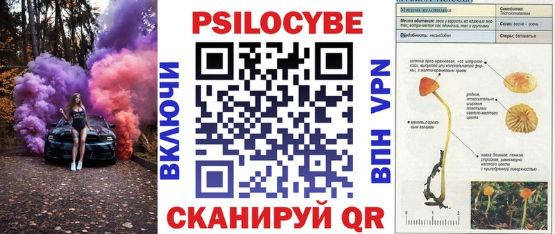 blacksprut tor Монино Галлюциногенные грибы мицелий купить наркотики цена